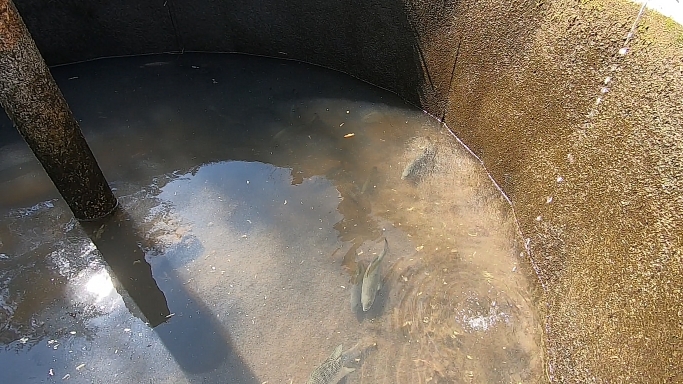 Captura de pantalla (739).png